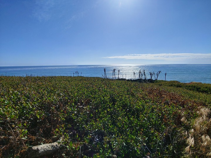 Cabrillo Coast