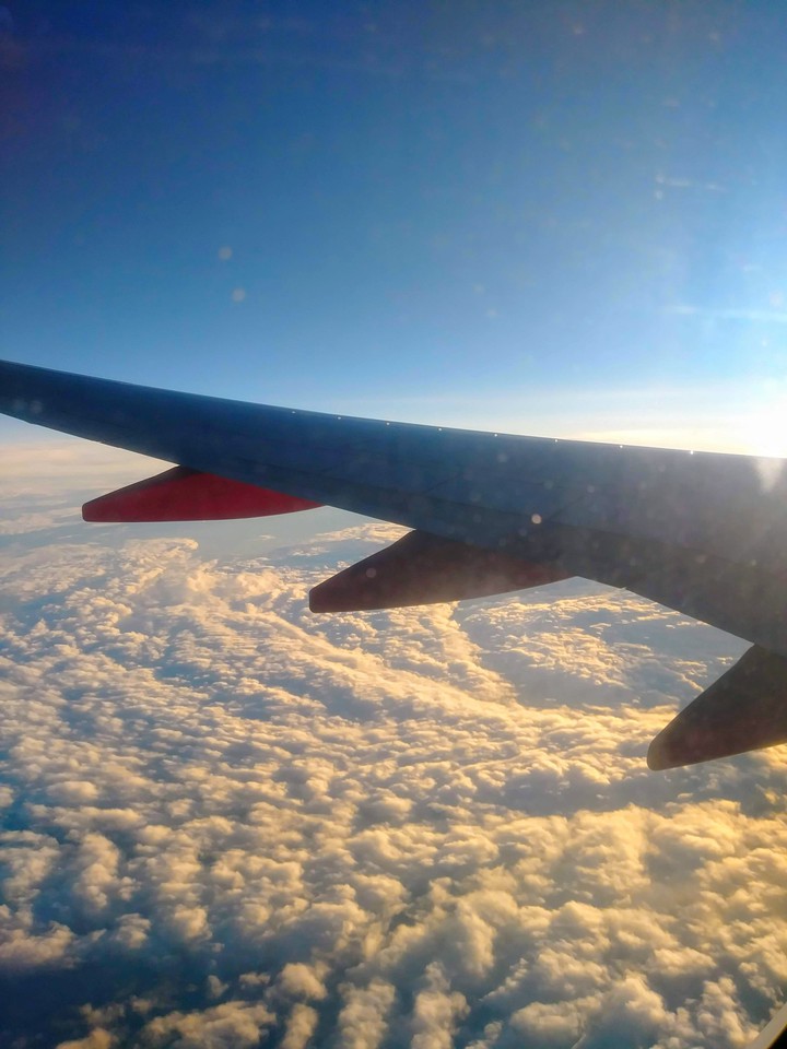 Take flights