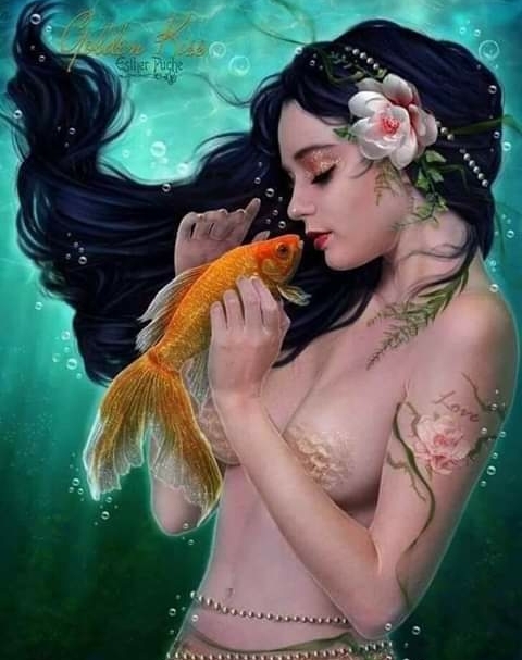 koi