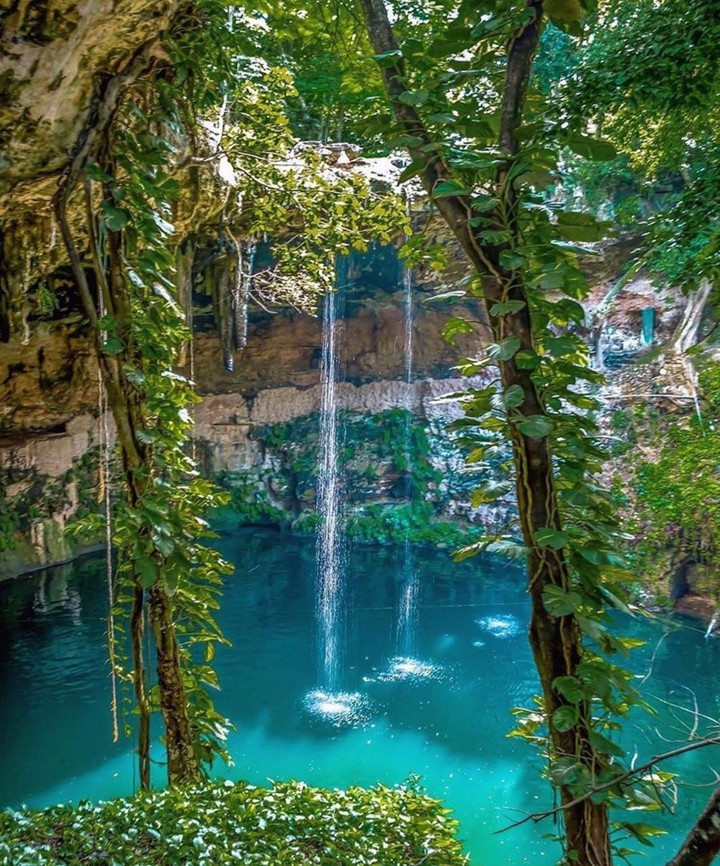 naturesfall