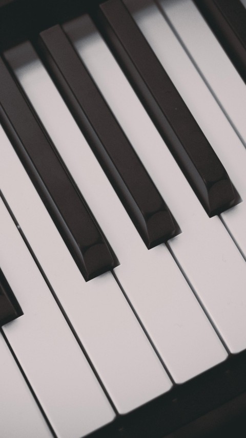 spinet, line वॉलपेपर