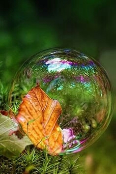 bubble