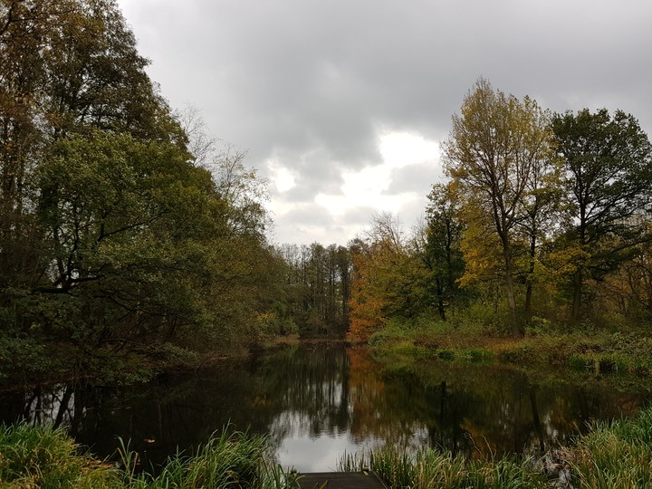 Autumn