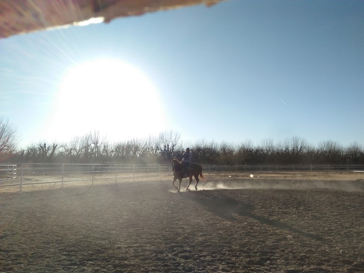 Texas