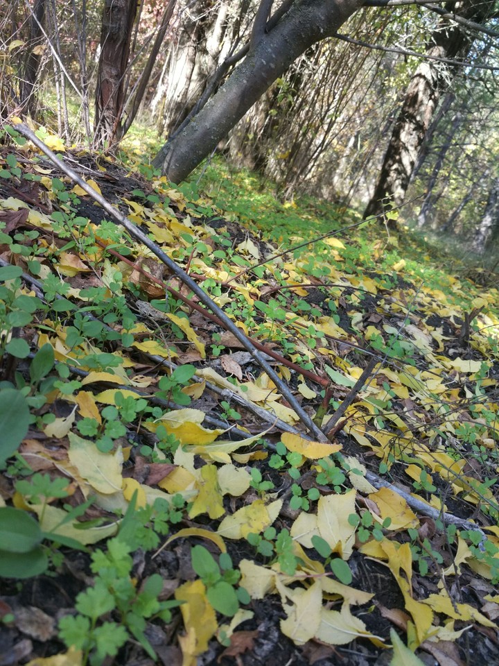 Autumn is here