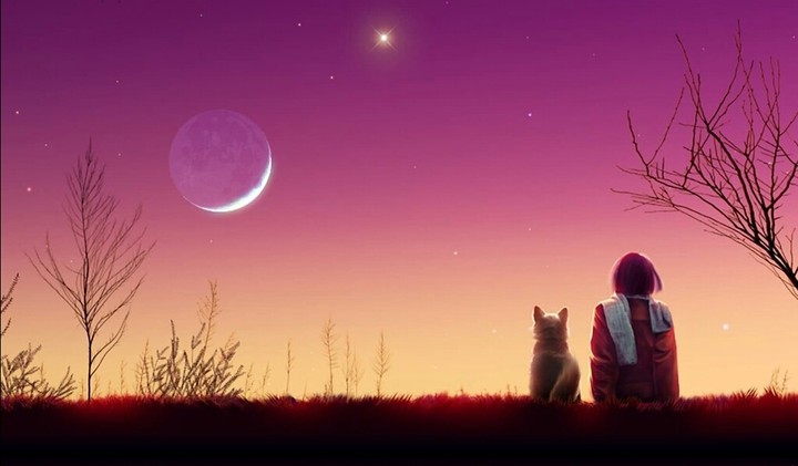 Sweet dog meet a sweet lonely girl