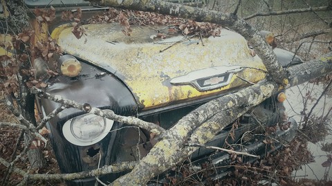 Broken Bus