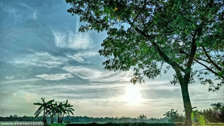 nature
