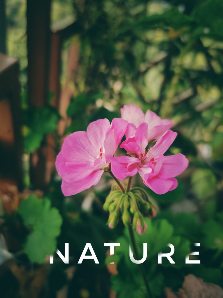 Nature