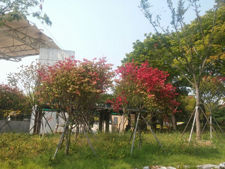 공원에서