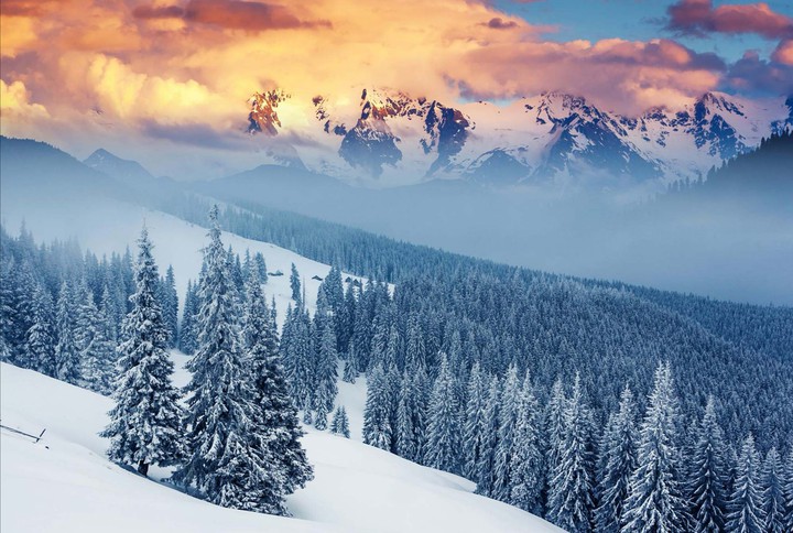 La beauté de l'hiver me manque