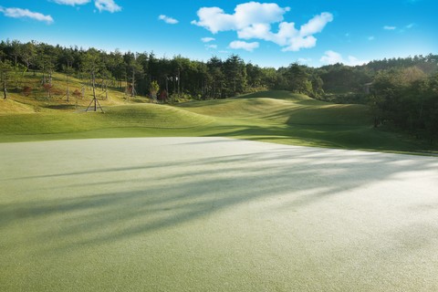 Golf Course