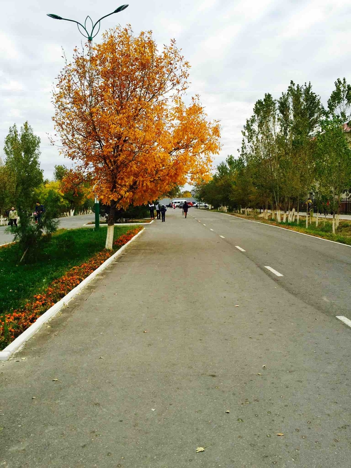 Autumn