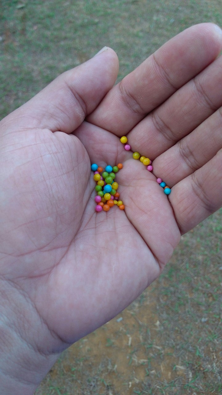 Candy
