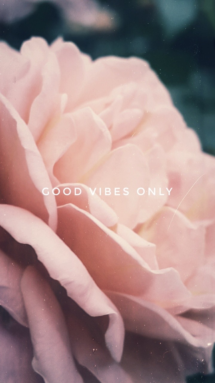 ~good vibes only~