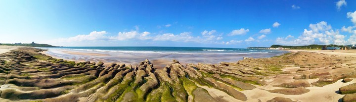 LaoMei Green Reef
