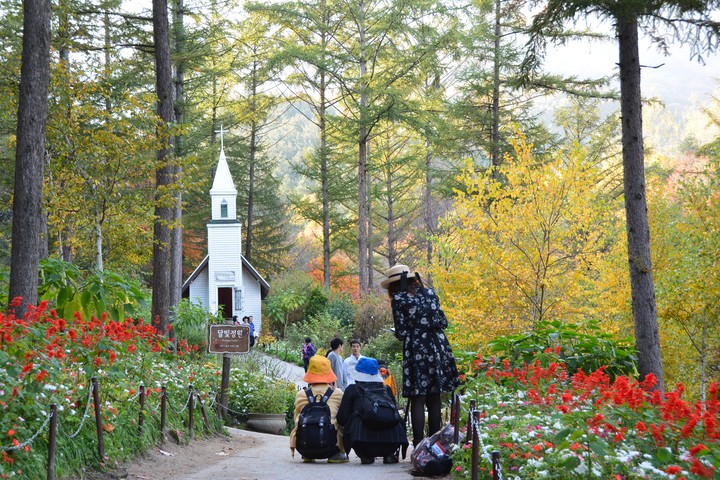 수목원이미지