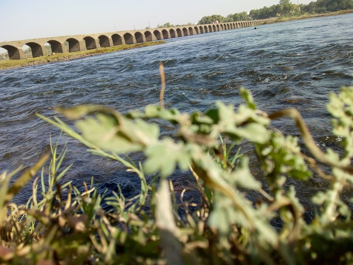 NARMADA RIVER