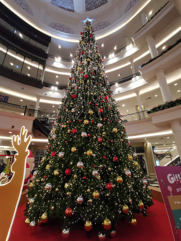 Christmas trees