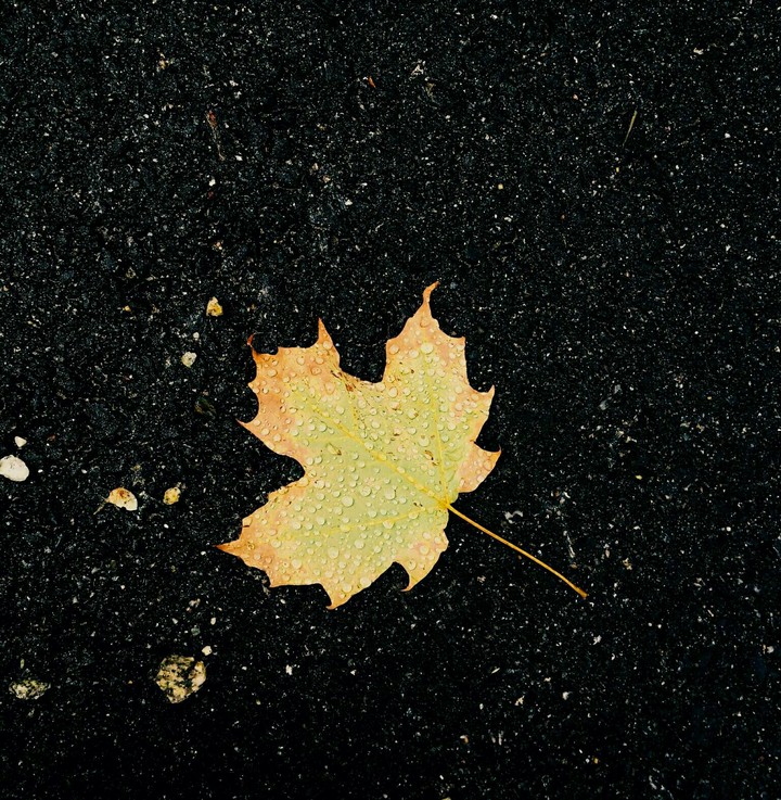 Fall time