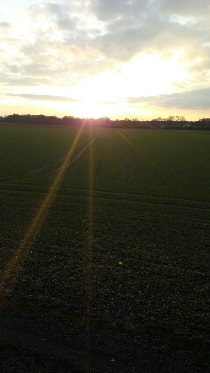Sonnenstrahlen