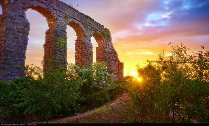 beautiful nature photo