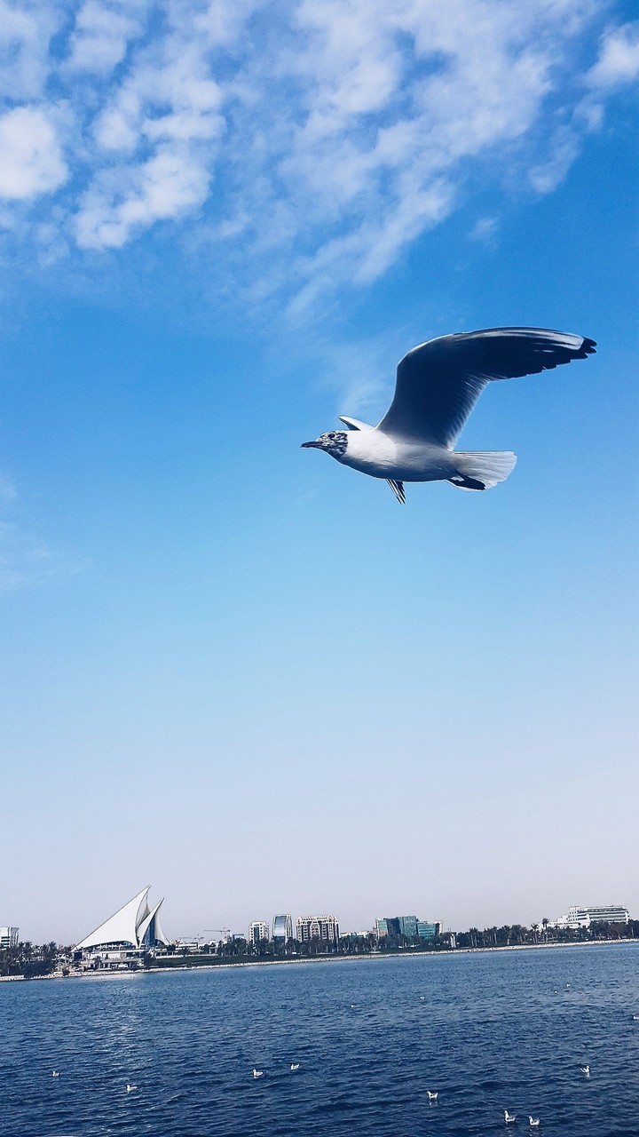 Peaceful day at the bay