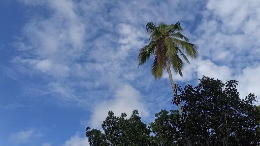 beautiful sky