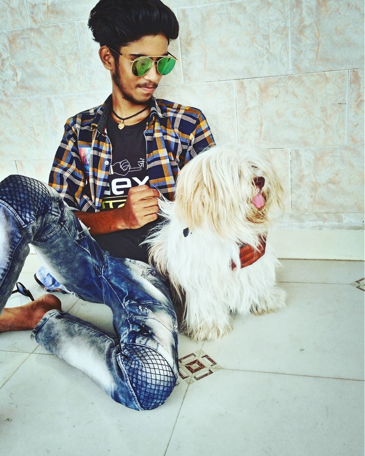 dog picture