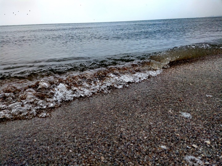 Sea