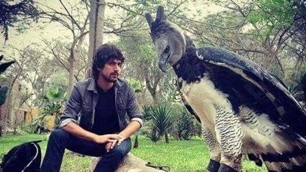 Big Eagle