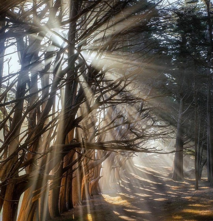Rays Of Hope ? Pic of the Day ?