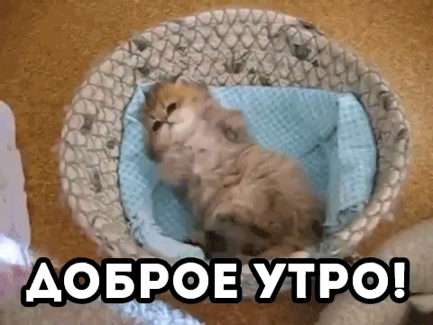 ❤️❤️❤️