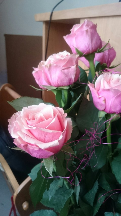 roses