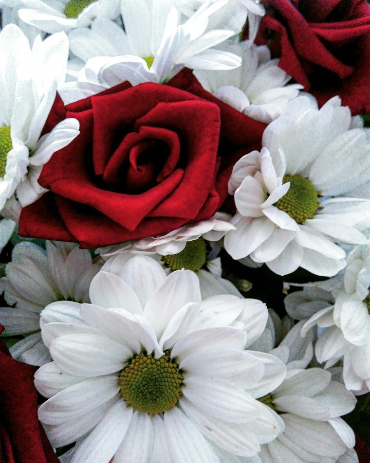 flowers