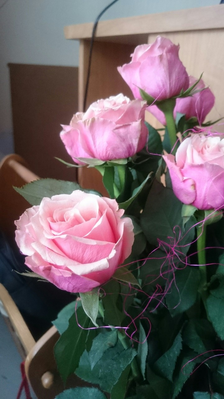 roses