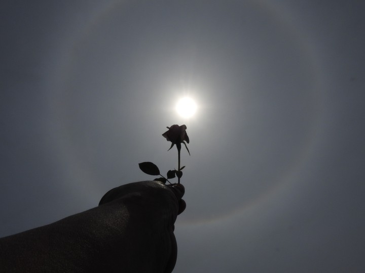 T ☀ , the ? and the?.... ❣️❣️❣️