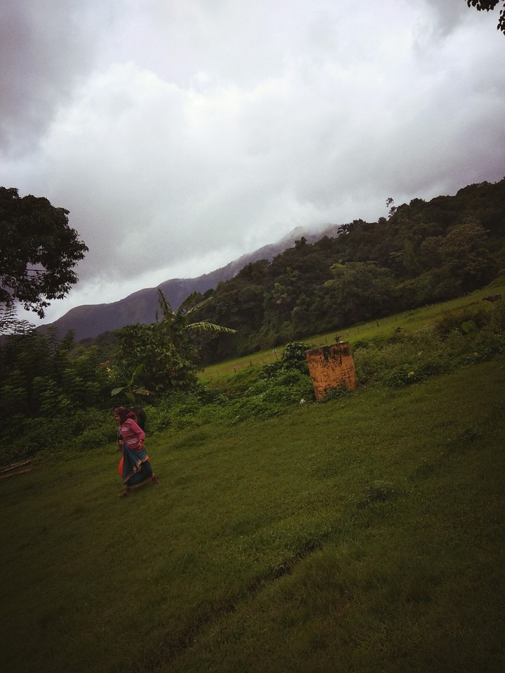 Nature