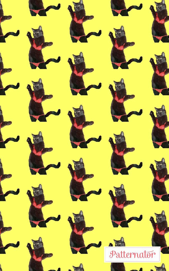 catttttty