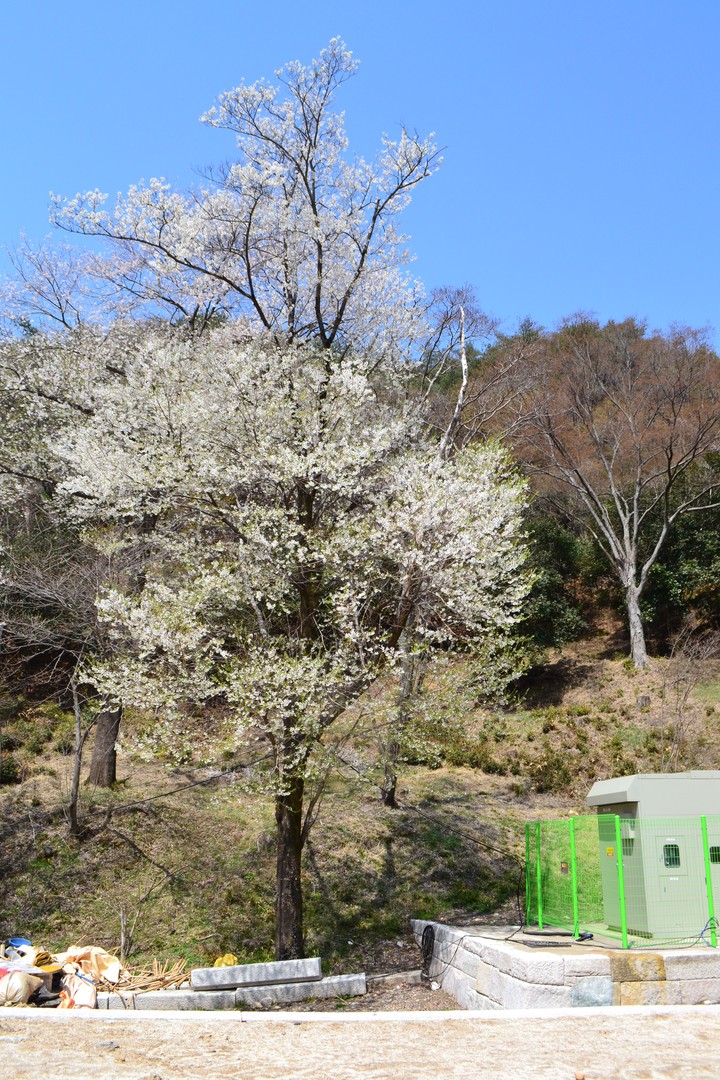 지리산이미지