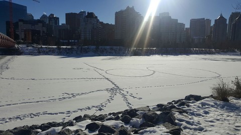 bow river
