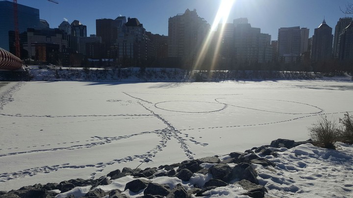 bow river