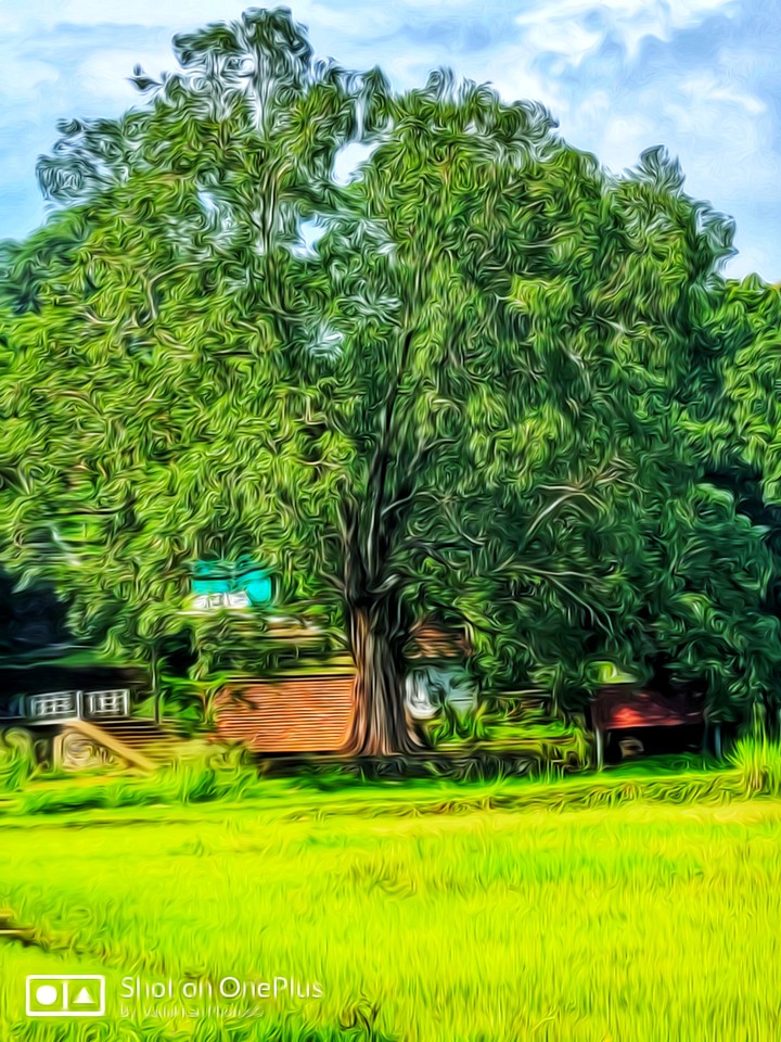 village