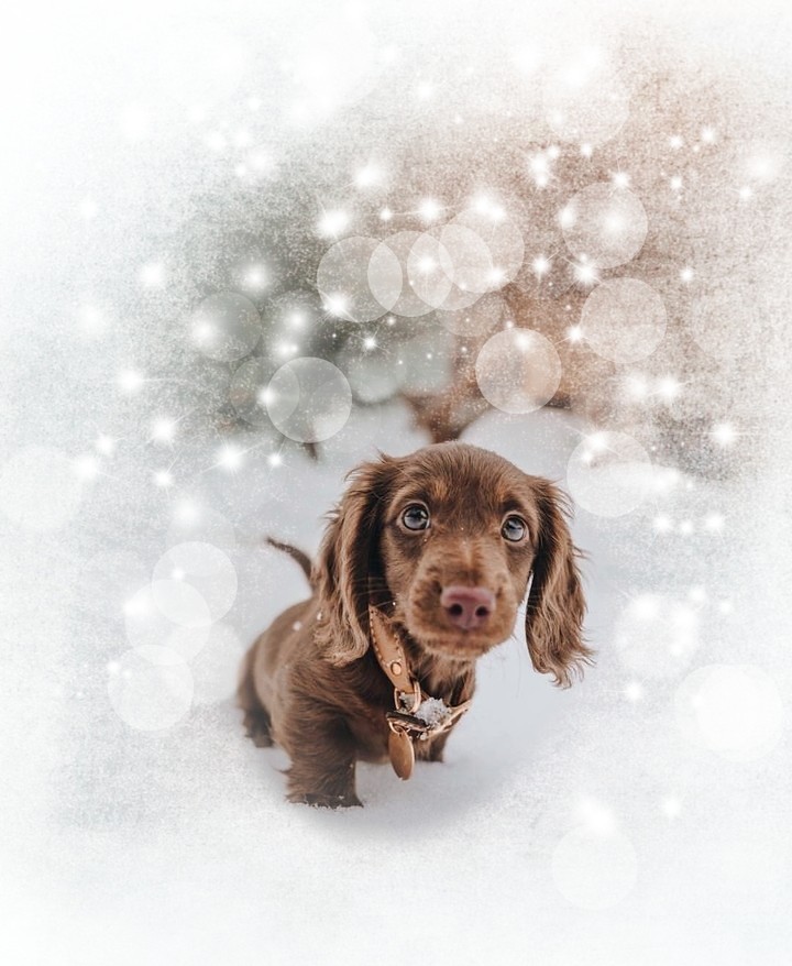 ⛄by me for you⛄
