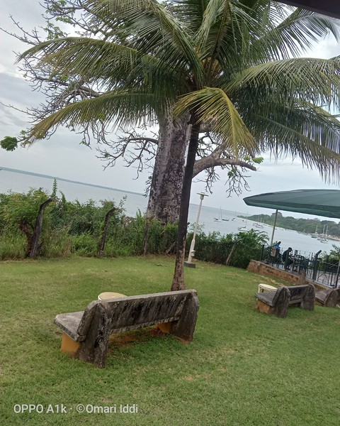 sea breeze