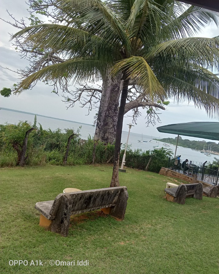 sea breeze