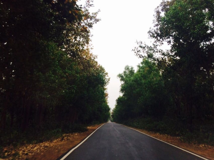 Nature 2