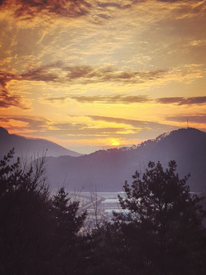 rising sun