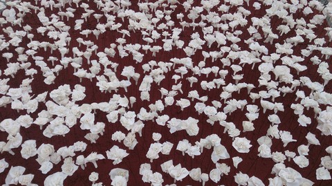 white flowers