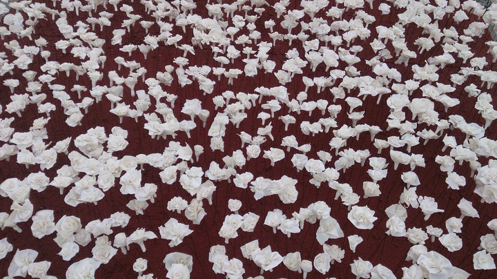 white flowers